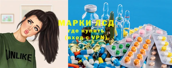 сатива Липки