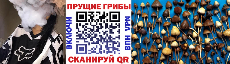 KRAKEN ONION где можно купить наркотик Электрогорск Галлюциногенные грибы ЛСД