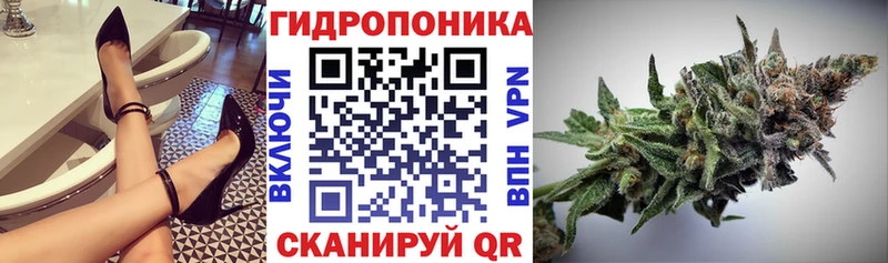 купить наркотики цена  Электрогорск  Бошки марихуана план 
